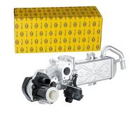 Hella Module EGR 6NU 358 167-001 électrique 5 pôles avec joints, radiateur et vanne EGR