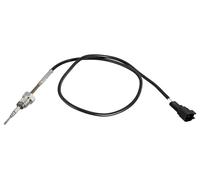 HELLA 6PT 358 226-181 Palpeur, température des gaz