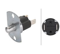 HELLA 6ZF 003 549-021 Interrupteur, contacteur de porte