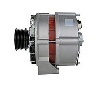 HELLA 8El 012 427-531 Alternateur - 14V - 55A | Compatible avec: MERCEDES-BENZ 124 Coupe, 124 Stufenheck, 124 T-Model, 190, E-CLASS, E-CLASS T-Model, T1 Bus, T1 Bus