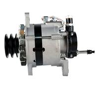 HELLA 8El 012 429-271 Alternateur - 14V - 55A