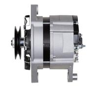HELLA 8EL 015 643-171 Alternateur - 14V - 55A - pour p.e. CASE IH/NEW HOLLAND