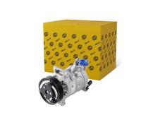 HELLA 8FK 366 200-491 Compresseur, climatisation | 6CVC, PXE14, 6SEU14-6SES14C,VCS14,PXE16-7SEU16C, DCS-17E - 12V - R 134a-1234yf - PAG 46 YF - 100ml