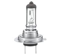 HELLA 8Gh 007 157-231 Ampoule - H7 - Heavy Duty Expert Longer Lifetime, Vibration Resistant - 24V - 70W - Type De Culot: Px26D - Boîte - Quantité: 1