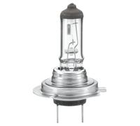 HELLA 8GH007157-231 Ampoule. projecteur principal