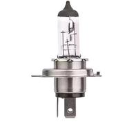 HELLA Ampoule projecteur principal 8GJ 007 255-123 Boîte