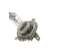 HELLA 8GJ 223 498-221 Ampoule