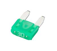 HELLA 8JS 728 596-171 Fusible - Fusible à fiche MINI - 30A - vert