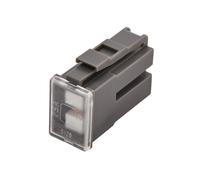 Hella Bloc fusible PAL série 1 – 75A – gris – fiche femelle – 1 pièce – 8JS 740 026-721