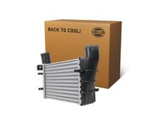 HELLA 8ML 366 340-251 Intercooler, échangeur - Grille de radiateur soudée