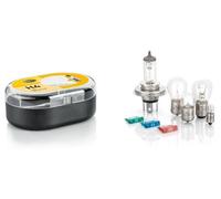 Hella Ampoules Assortiment Halogène P21W T4W P21/5W R5W H4 12V (8GJ 002 525-913