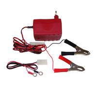 HELLA - Chargeur pour Batterie Plomb, Batterie Gel - 6V-12V