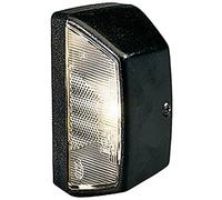 HELLA Feu éclaireur de plaque - Halogène - 12V / 24V - Raccord fileté - ECE/SAE/ADR/GGVS/CCC - Couleur du voyant: limpide - Fiche: Fiche plate - gauche/droite/arrière/extérieur - 2KA 003 389-062