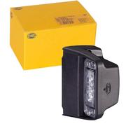 HELLA Feu d'éclairage de plaque 2KA 010 278-321 – LED 12 V Transparent – Compatible Fendt Vario