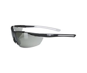 hellberg Hellberg Argon lunettes de sécurité photochromiques AF/AS 23431-001 Quantité:1
