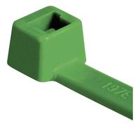 HellermannTyton 116-08015 T80R-N66-GN-C1 Serre-câble 210 mm 4.60 mm vert 100