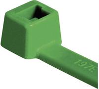 HellermannTyton Serre-câble 116-08015 T80R-N66-GN-C1 210 mm 4,60 mm vert 100 pièces