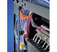 HellermannTyton TEXTIE-1M-PA/PP-BU-I Collier de serrage auto-agrippant pour grouper partie velours et partie agrippante (L x l) 1000 mm x 12.5 mm bleu 1 pc(s)