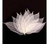 Hellery 50x Squelettes de Feuilles Chic de Mariage Craft DIY Blanc