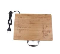 Hellery Hot Box de Chauffage Chauffe-pierres Chauffe-cas Fiche EU, 41cm #3