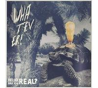 Hello, Are You Real ? / Aron d'Alesio