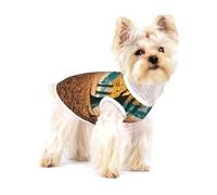 Hello Autumn T-shirt imprimé pour petits chiens Chemise tendance respirante sans manches pour petits chiens