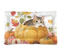 Hello Fall Tapis lavable doux et antidérapant pour chat et chat de grande taille, taille Jumbo et moyenne 91,4 x 61 cm