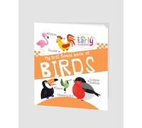 Hello Friend Books My First Padded Board Book of Birds- Mini Padded Board Book for Kids with Amazing Illustrations for Early Learning