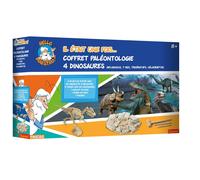 Hello Maestro Coffret Paleontologie 4 Dinosaures