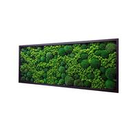 Hello Moss Moosbild - Moos Décoration pour votre maison - Cadre photo avec mousse d'oreiller et Cladonia - Mur mousse moderne Vivant - Décoration murale unique (pin naturel, 60 x 30 cm)