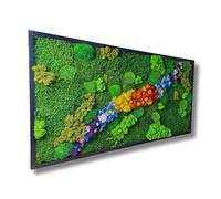 HelloMoss Tableau en mousse avec cadre 110 x 50 cm - Tableau en mousse XXL avec mousse d'Islande préservée - Décoration de luxe pour votre maison - Décoration de salon - Grande taille