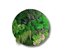 HelloMoss Tableau en mousse, avec cadre, 40 cm, taille XXL, avec mousse d'Islande, préservée, décoration de luxe pour votre maison, décoration de salon