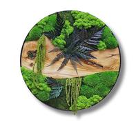 HelloMoss Tableau mousse rond avec cadre en acier et bois d'olivier - Décoration murale en mousse stabilisée - Fait à la main - Diamètre 40/50/60 cm - Décoration murale de qualité supérieure pour