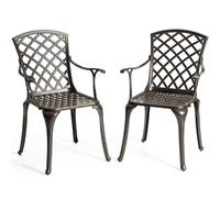 Helloshop26 Lot de 2 chaises de Salle à Manger polyvalentes en Fonte d'aluminium Dossier/Assise ajourés avec accoudoirs supporté 110 kg 20_0004893