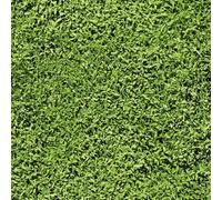 HelloWall Papier peint à motif d'herbe verte à décoller et à coller - 44,5 x 404,6 cm - Papier peint mural décoratif texturé - Papier peint botanique amovible pour salon, salle de bain, étagères