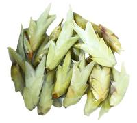 HELLOYOUNG 250g Thé Pu'er de printemps naturel et biologique chinois Nouveau bourgeon Fabriqué selon des techniques traditionnelles goût moelleux Thé pu-erh Pu'er Tea