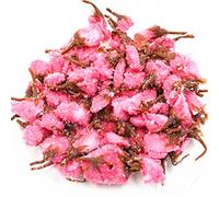 HELLOYOUNG Fleurs de cerisier salées biologiques Aliment vert essence de fleurs de cerisier arôme frais (50g)