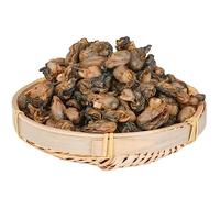 HELLOYOUNG Tisane d'huîtres séchées en vrac naturelles de Chine Sans additif aliment vert biologique profils de saveurs intenses Facile à stocker (800g)