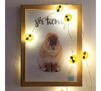 hellum 522952 Cool-Emoji Guirlande lumineuse LED en cuivre, avec 10 LED blanc chaud, longueur de la lumière : 90 cm, câble argenté, pour l'intérieur, fonctionne avec des piles (2AA)