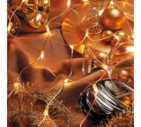 Hellum 583205 Micro intérieur Filet lumineux, acrylique, transparent, 200 x 100 cm