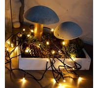 Hellum Guirlande lumineuse LED extérieure ou intérieure I Guirlande lumineuse blanc chaud avec minuteur I Guirlande LED alimentée par secteur avec 40 LED I avec câble vert <59 lm I 577297