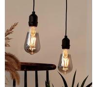 hellum Lampe suspendue avec batterie et télécommande pour extérieur, lot de 2, Ampoule avec batterie ST64 Ø6,4 cm grise, Ampoule avec télécommande, lampe suspendue à intensité variable pour extérieur