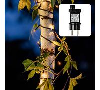 Hellum LED Guirlande électrique d'extérieur ou d'intérieur, Guirlande lumineuse couleur mandarine avec minuterie, Guirlande électrique avec 80 LED, câble en vert, <59 lumens 150032