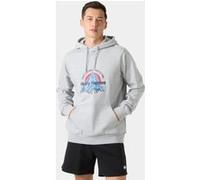 Helly Hansen Core Graphic Hoodie Homme Gris 2XL