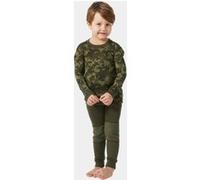 Helly Hansen Ensemble Graphic Lifa Merino