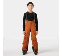 Pantalon de ski enfant Helly Hansen No Limits 2.0 Marron 12 ans