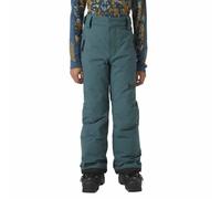 Helly Hansen Pantalon Legendary