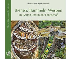 Helmut & Margrit Hinte Bienen, Hummeln, Wespen im Garten und in der Land (Poche)