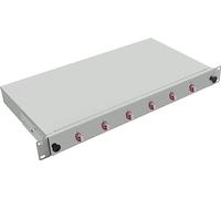 Helos LWL 19" Breakoutbox avec 6X LC Duplex Kupplungen OM4, Gris