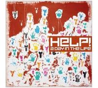 Help: A Day In The Life
